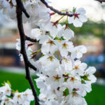 2004年3d开奖号码完整历史记录查询 182k31