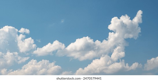 20063d开奖数据最新公布完整号码查询 20063d开奖数据最新公布完整号码查询