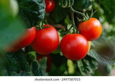 20068期开奖号码公布及中奖详情查询 20068期开奖号码公布及中奖详情查询