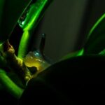 20056期足彩开奖结果揭晓:最新中奖号码与奖金分配详情 biuk46gs