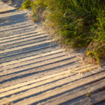 2006年3d开奖结果历史数据查询与完整版回顾 d452gog7v