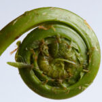 2003年开奖彩票历史回顾与中奖号码全记录 gwnx8