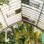 2004年中国体育彩票开奖历史回顾与查询 u27y64uc