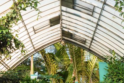 2004年中国体育彩票开奖历史回顾与查询 2004年中国体育彩票开奖历史回顾与查询